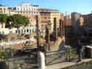 DSCN7800