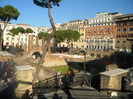 DSCN7802