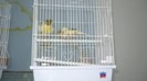 P1070431