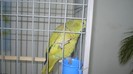 P1070434