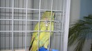P1070435