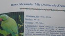 P1070454