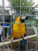 52946589_ESVBULU2