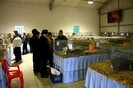 IMG_0237