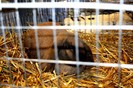 IMG_0086