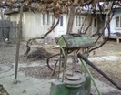 29 noiembrie 2011 031