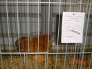 DSC01819