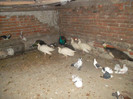 SAM_2010