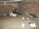 SAM_2011