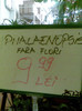 Mr Bricolage, 29.11.2011