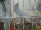 52940179_UEMTCSY2