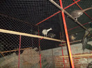 SAM_2036