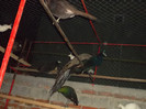 SAM_2038