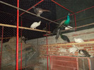SAM_2046