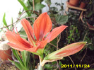 Picture 012