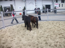 expo 2011 Galati