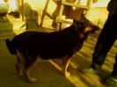 IMG0073A