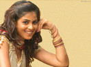 genelia_dsouza_wal_31