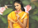 genelia_souza_in_yellow_7670