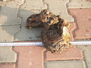 DSCF7570