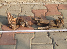 DSCF7585