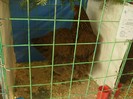 P1170432