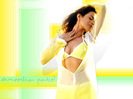 ameesha_patel-normal