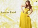 amisha_patel12912