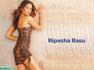 wp_Janubaba_BipashaBasu_200542233833QR8ERO