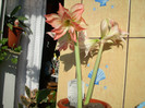Photo 017