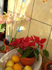 Photo 019