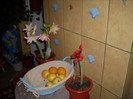 Photo 013