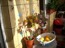 Photo 021