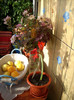 Photo 023