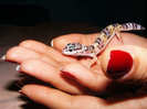 Pui gecko leopard