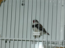 P1020602