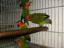 HPIM3927