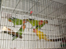 HPIM3935