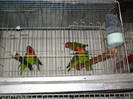 HPIM3945
