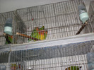 HPIM3946