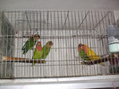 HPIM3947