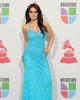 normal_grammy09-038