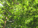 30.05.2010 083