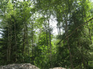 30.05.2010 085