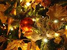 wallcoo-com_christmas_wallpaper_christmas_photos_47104