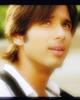 OoLoveYouSashaOo. (98)