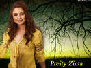 Preity+Zinta+wallpapers17
