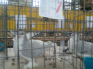 2011-12-03 14.39.23