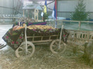 Expo