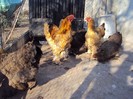 DSC09207